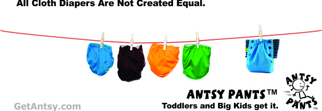 All Cloth Diapers Are Not Created Equal: Antsy Pants™